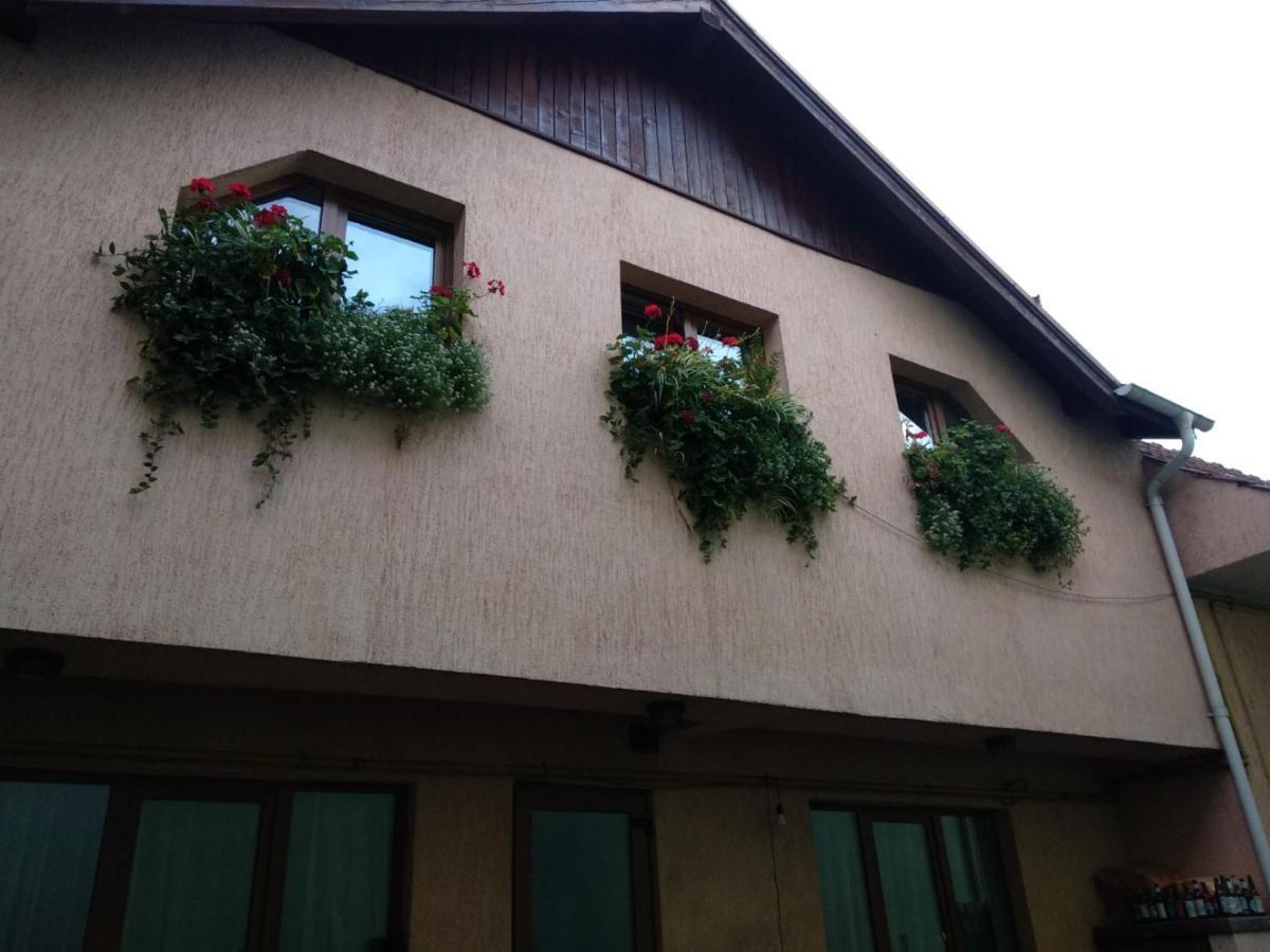 Casa Charlot Apartment Brasov Luaran gambar
