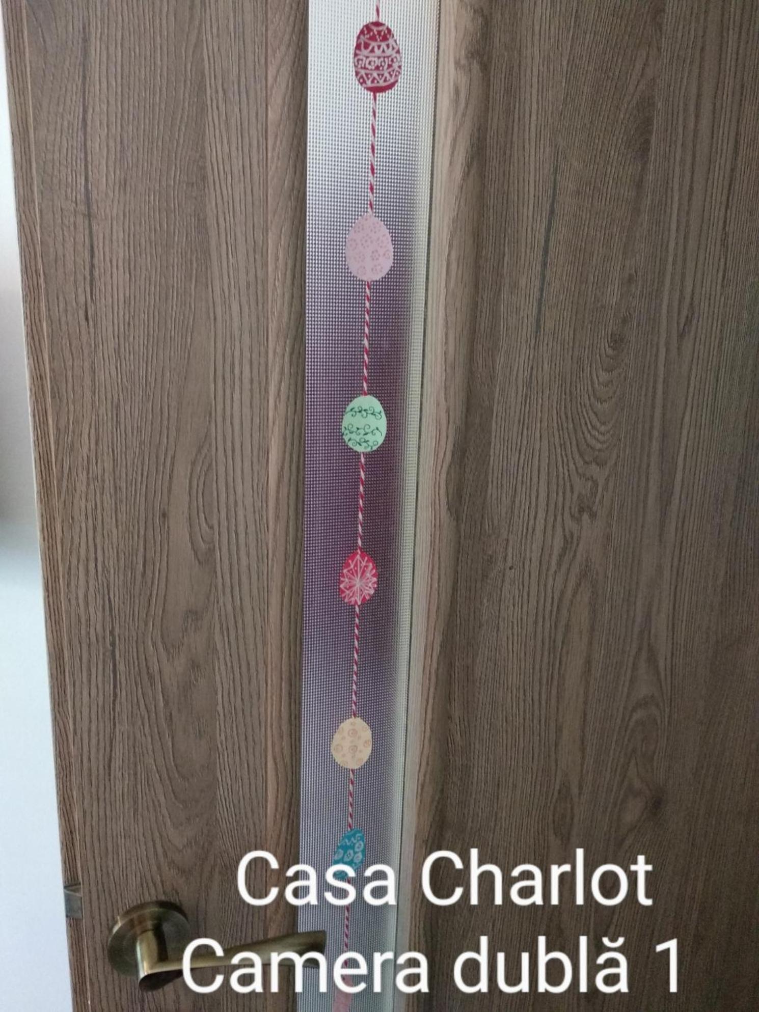 Casa Charlot Apartment Brasov Luaran gambar